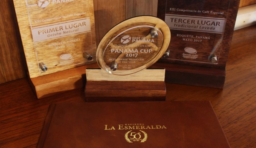 The Ultimate Guide to Panama Geisha Esmeralda: Auction Grades, Three Key Growing Regions, and Brewing Recommendations
