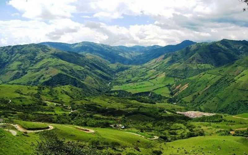 Brazil's Coffee Traceability Platform Goes Live: A Practical Guide to Complying with EU New Regulations