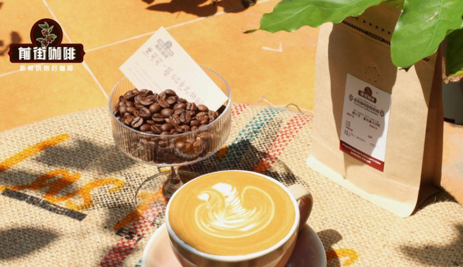 Pour Over Latte Beginner’s Guide: Complete Mastery of Hot & Iced Versions with Milk-to-Coffee Ratios
