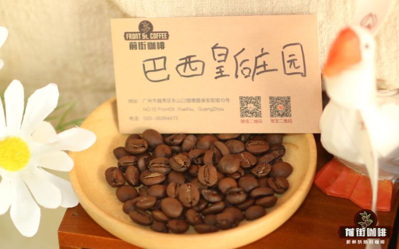 Brazilian Empress Estate Yellow Bourbon: A Complete Analysis of the COE Champion Bean’s Flavor Profile and Honey Processing