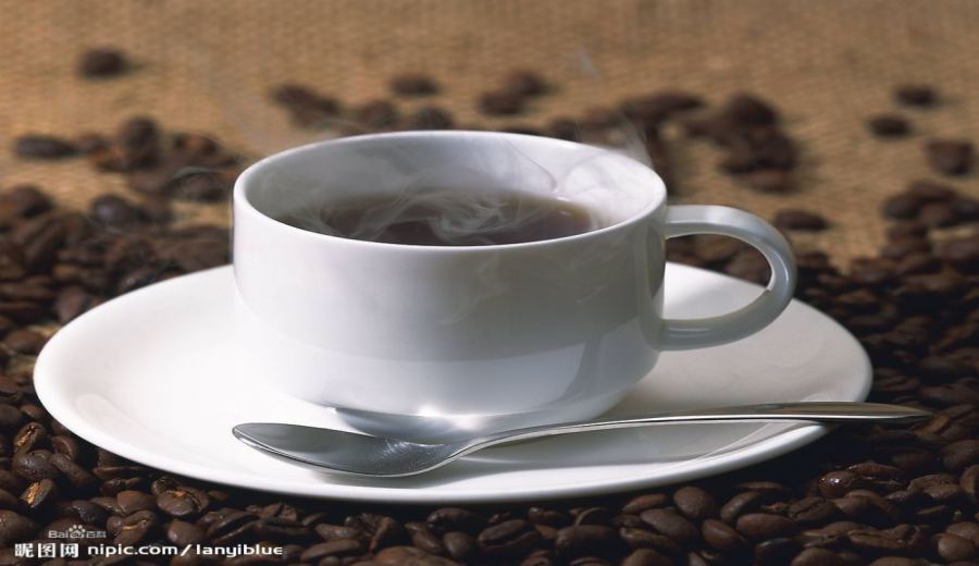 Complete Guide to Jamaican Blue Mountain Coffee: Origins, Grading, and Pour Over Techniques