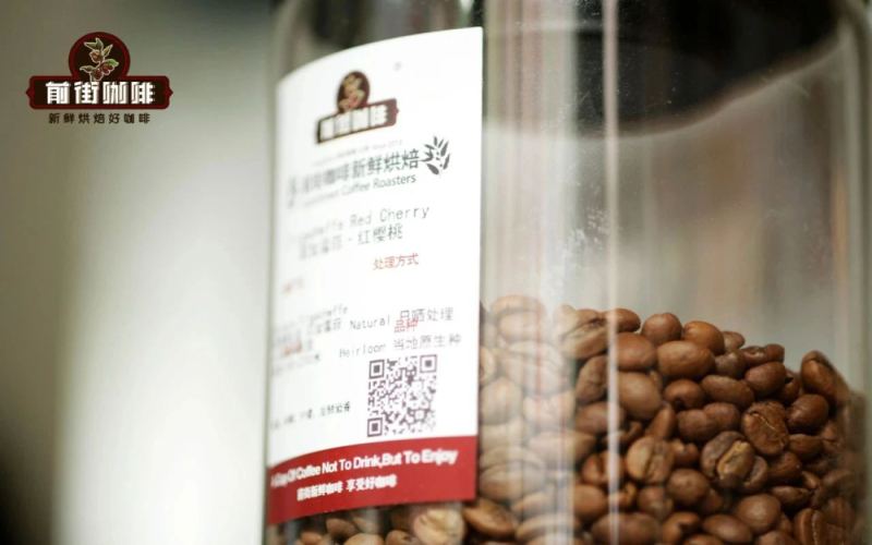 Ethiopian Landrace vs. Landrace: Deciphering the Terroir Secrets Behind Coffee Varieties