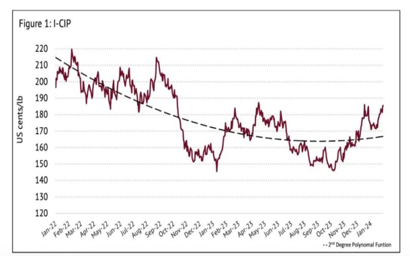 January 2024 Coffee Market Trends: Robusta Prices Soar, Global Supply Challenges Analyzed