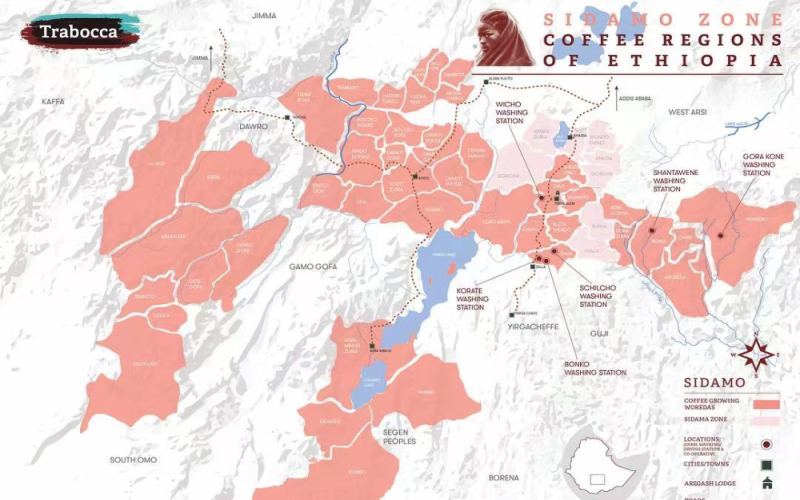 Complete Guide to Ethiopia’s Sidamo Region: From Huakui to Yirgacheffe, Flavor Analysis and Pour Over Recommendations