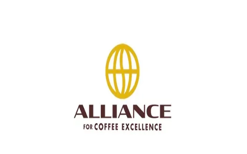 Unveiling the Award-Winning Varieties of the 2024 Mexico COE Competition: A Deep Dive into the Characteristics of Obata, Marsellesa, and Oro Azteca