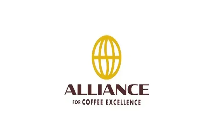 Unveiling the Award-Winning Varieties of the 2024 Mexico COE Competition: A Deep Dive into the Characteristics of Obata, Marsellesa, and Oro Azteca