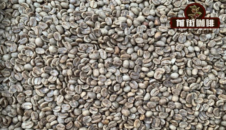 A Comprehensive Guide to Decaf Coffee | Who Is It For? Differences from Regular Coffee, Pour Over Bean Recommendations & Common Myths