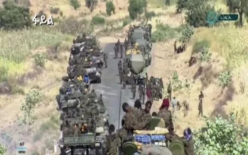 Ethiopian Conflict Escalates: Coffee Farmers Face Dual Challenges of Rising Costs and Export Compliance