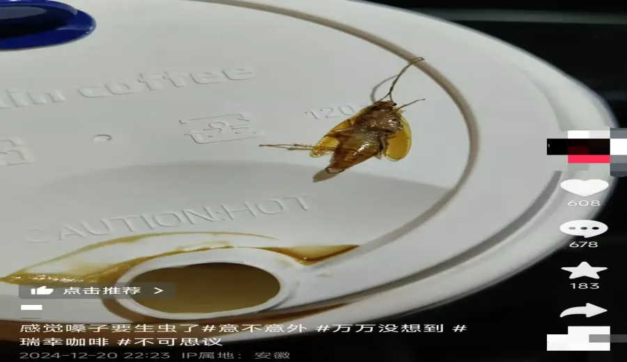 Cockroach found in Luckin Coffee drink: Full breakdown of consumer complaint and store hygiene & handling process
