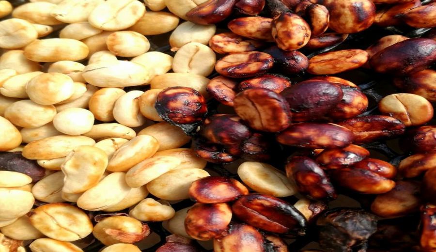 Moka Pot Coffee Bean Buying Guide: A Complete Analysis from Cocoa Flavors to Roast Levels