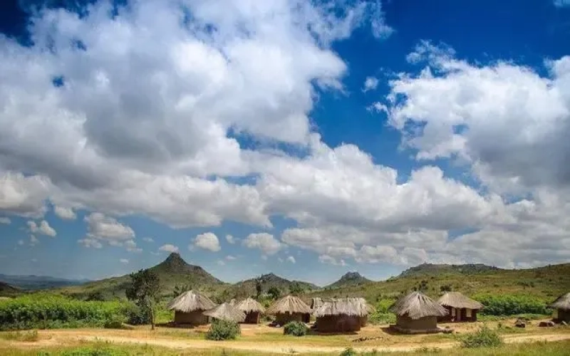 Unveiling Africa’s Specialty Coffee Regions: Malawi, South Africa, Uganda & Niche Origins