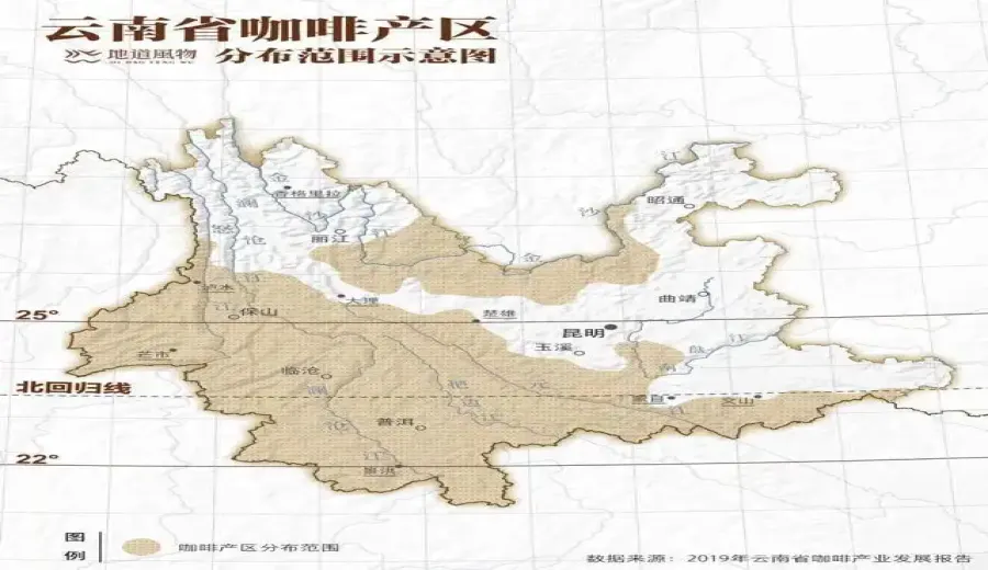 A Complete Guide to Yunnan Typica Coffee: Variety Origins, Pour Over Parameters & Flavor Profile