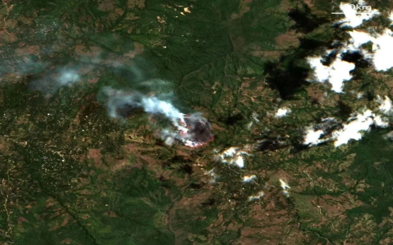 Colombia’s Cauca Department Wildfires Impact Coffee-Growing Regions: Supply & Flavor Uncertainties Loom