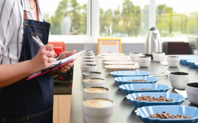 How to Choose Specialty Coffee Beans? Understanding Coffee Grades and Flavor Differences Through the SCA Cupping Score of 80 Points