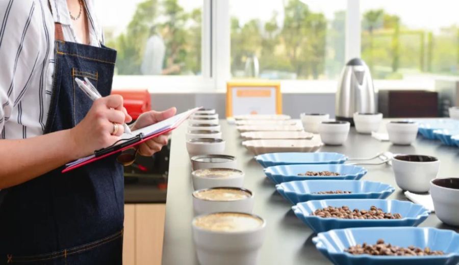 How to Choose Specialty Coffee Beans? Understanding Coffee Grades and Flavor Differences Through the SCA Cupping Score of 80 Points