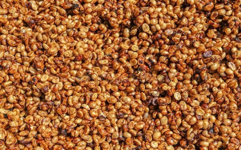 How to Brew Costa Rican Honey-Processed Coffee? A Complete Guide to the Flavor and Brewing of the Mirasú Gesha Blend Beans