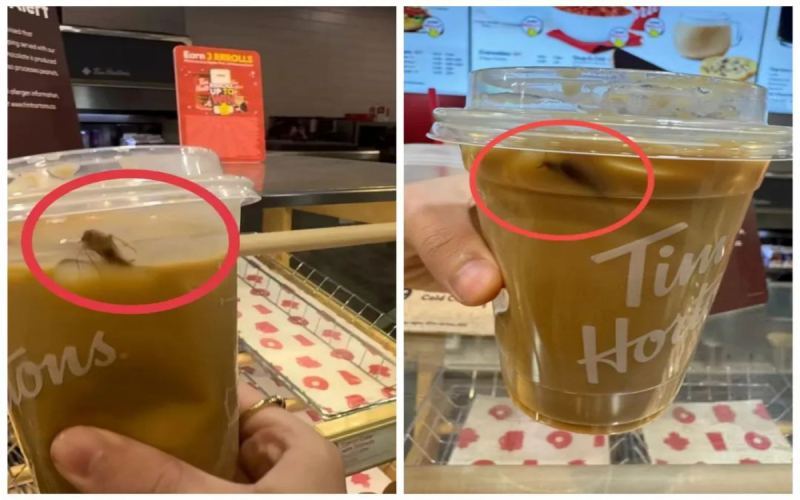 Toronto Tims Iced Cappuccino Cockroach Incident Exposes Hygiene Concerns in Chain Coffee and Offers Purchase Advice