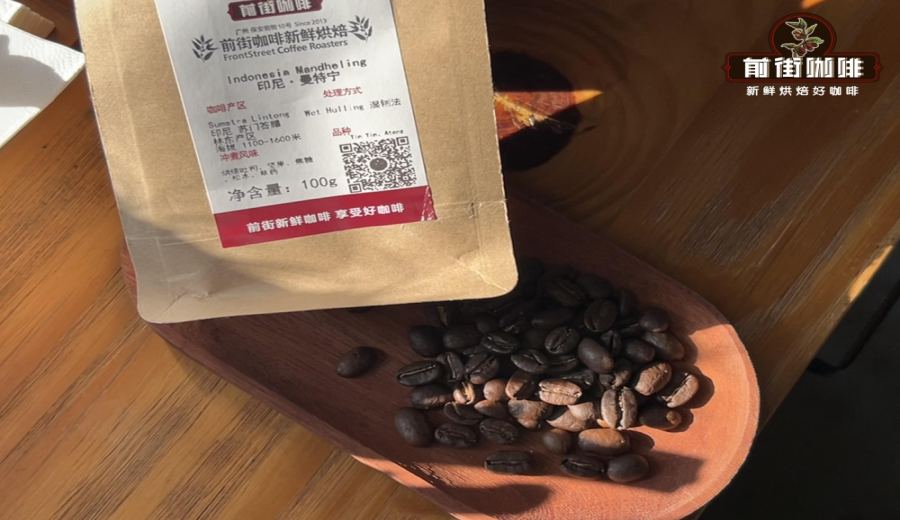 Complete Guide to Indonesia’s Four Major Specialty Coffee Regions: Mandheling, Toraja, and Java Flavor Profiles