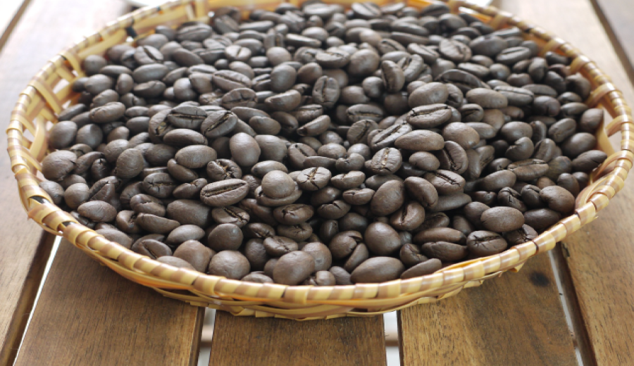 How to choose coffee beans for a moka pot? Beginner-friendly recommendations that balance budget and flavor