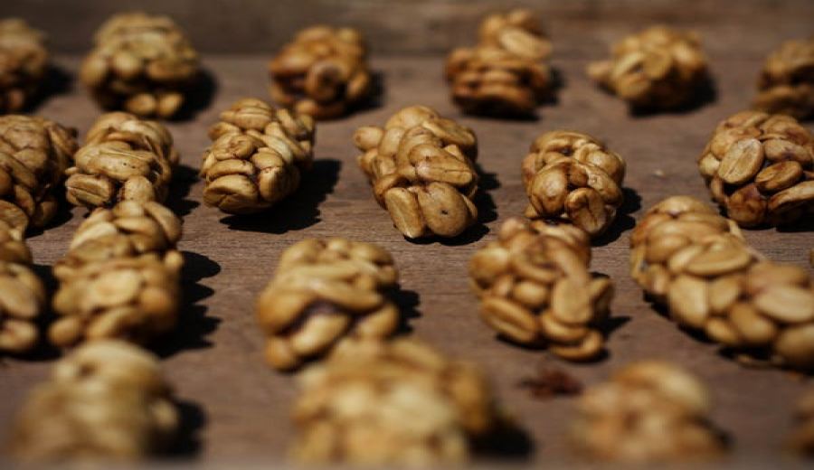 Analysis of the Flavors of Indonesian Civet Coffee and the Truth Behind Its High Price | A Buyer’s Guide to Cat Poop Coffee