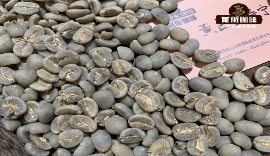 Analysis of Indonesian Mandheling Coffee Origins and Flavor Characteristics | From Wet-Hulling to Golden Mandheling