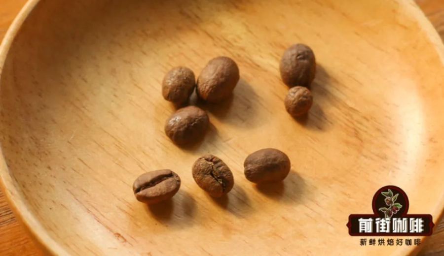 Coffee Bean Shapes Explained: The Causes, Grades, and Flavor Differences of Flat Beans, Peaberry Beans, and Elephant Beans