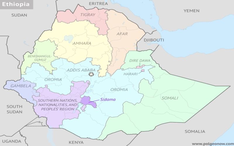 Ethiopia Sidama Huakui 7.0 Coffee Beans: A Comprehensive Analysis of Flavors and Quality in the 2023 New Crop Season