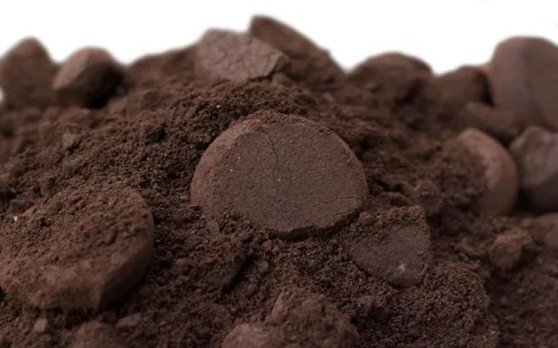 Coffee grounds transformed into chocolate? Japanese fermentation tech creates eco-friendly new food sensation