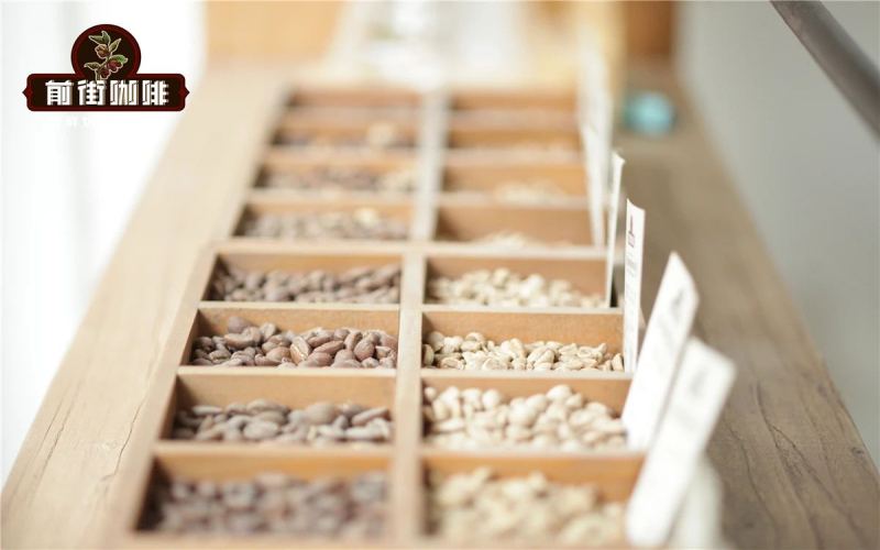 Beginner's Guide to Pour Over Coffee Beans: 6 Affordable & Flavorful Beans with Drip Machine Compatibility Analysis