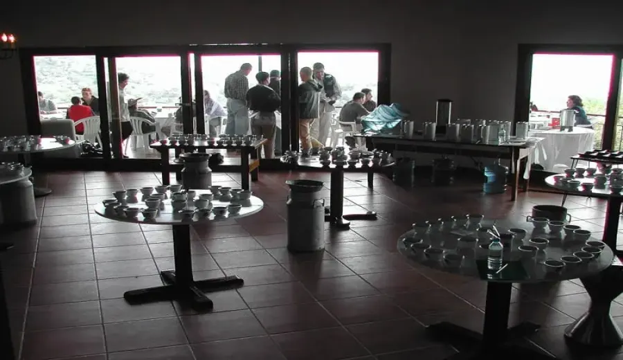 How to Brew Geisha Coffee? From Origin to Brewing Parameters – Understand the High Price at a Glance