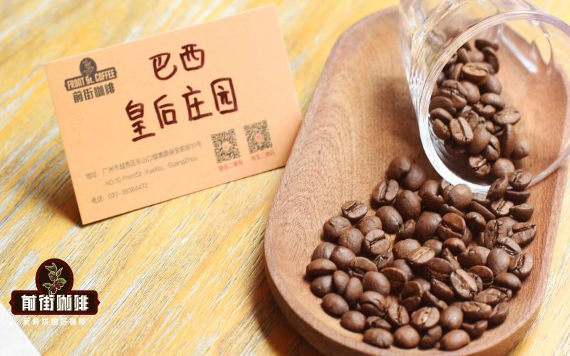 Complete Guide to Brazil COE Yellow Bourbon Natural Beans: Flavor, Processing & Brewing Techniques