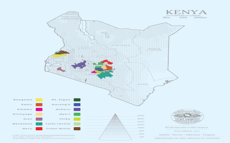 Introduction to Kenya's Four Major Coffee Varieties | SL28, SL34, Ruiru11, and Batian: Pour Over Parameters and Flavor Analysis