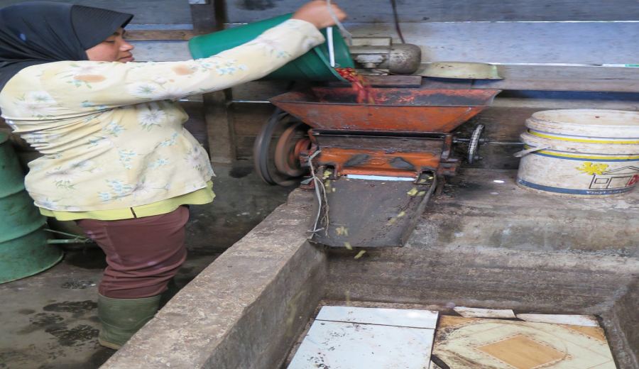 How to Choose Aged Coffee Beans? Understand Flavor, Storage, and the Differences from Monsoon Beans in One Go