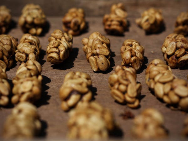 Flavor Analysis of Indonesian Kopi Luwak & the Truth Behind Its High Price | A Buyer’s Guide to Kopi Luwak