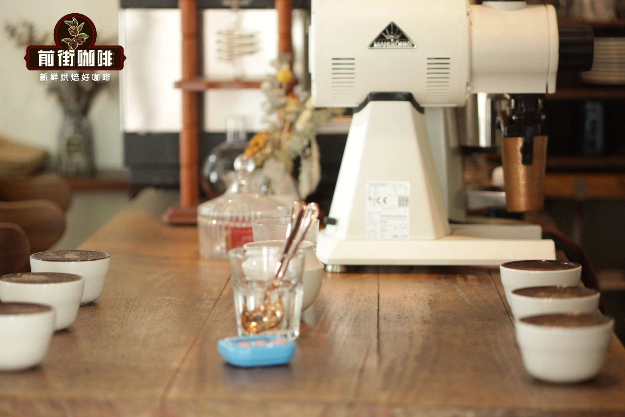 Complete Guide to Kenyan Coffee Cupping: Juicy Flavors & K72 Washed Process