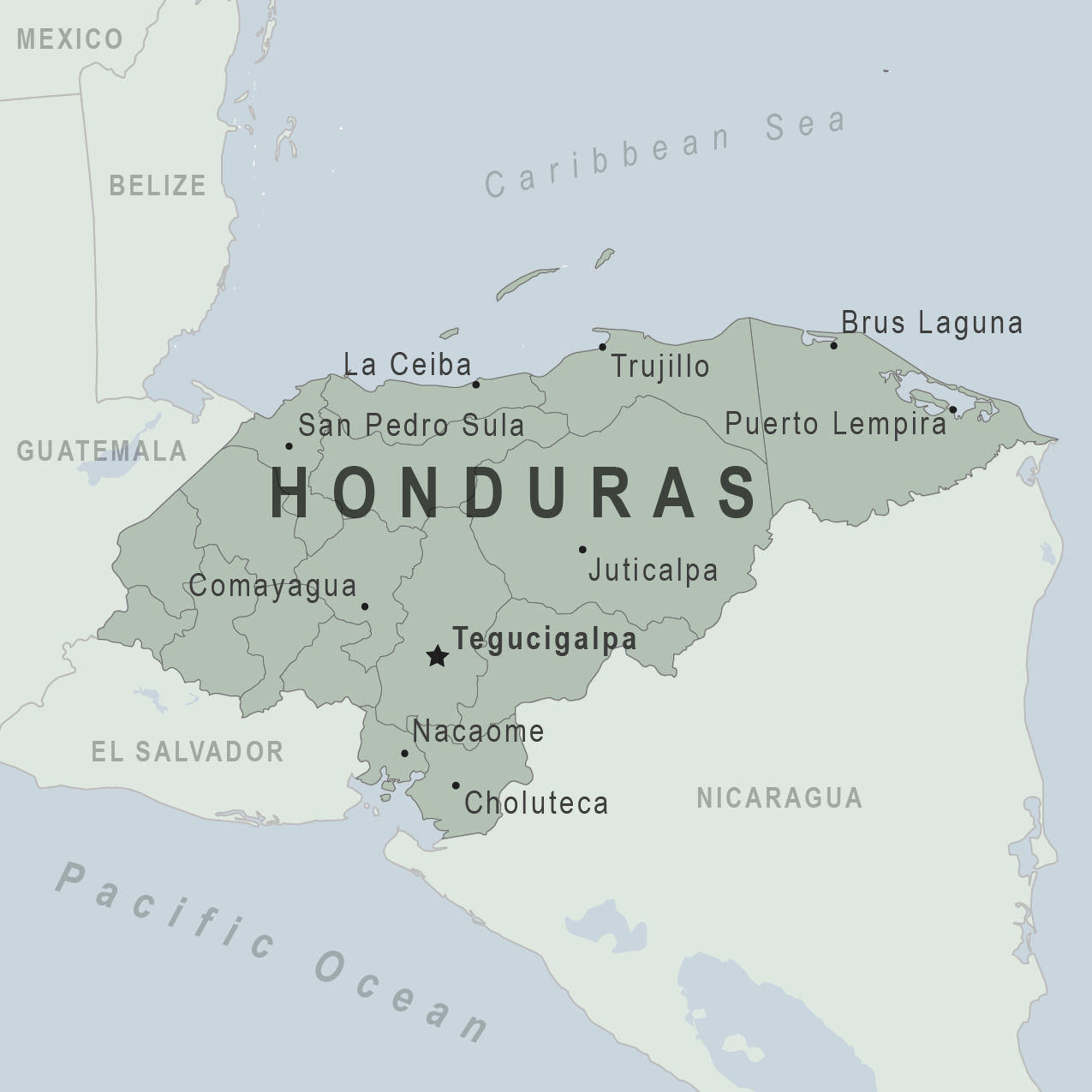 Pour Over Guide for Honduran Sherry Whiskey Barrel-Fermented Beans: Flavor Profile and Optimal Extraction Parameters