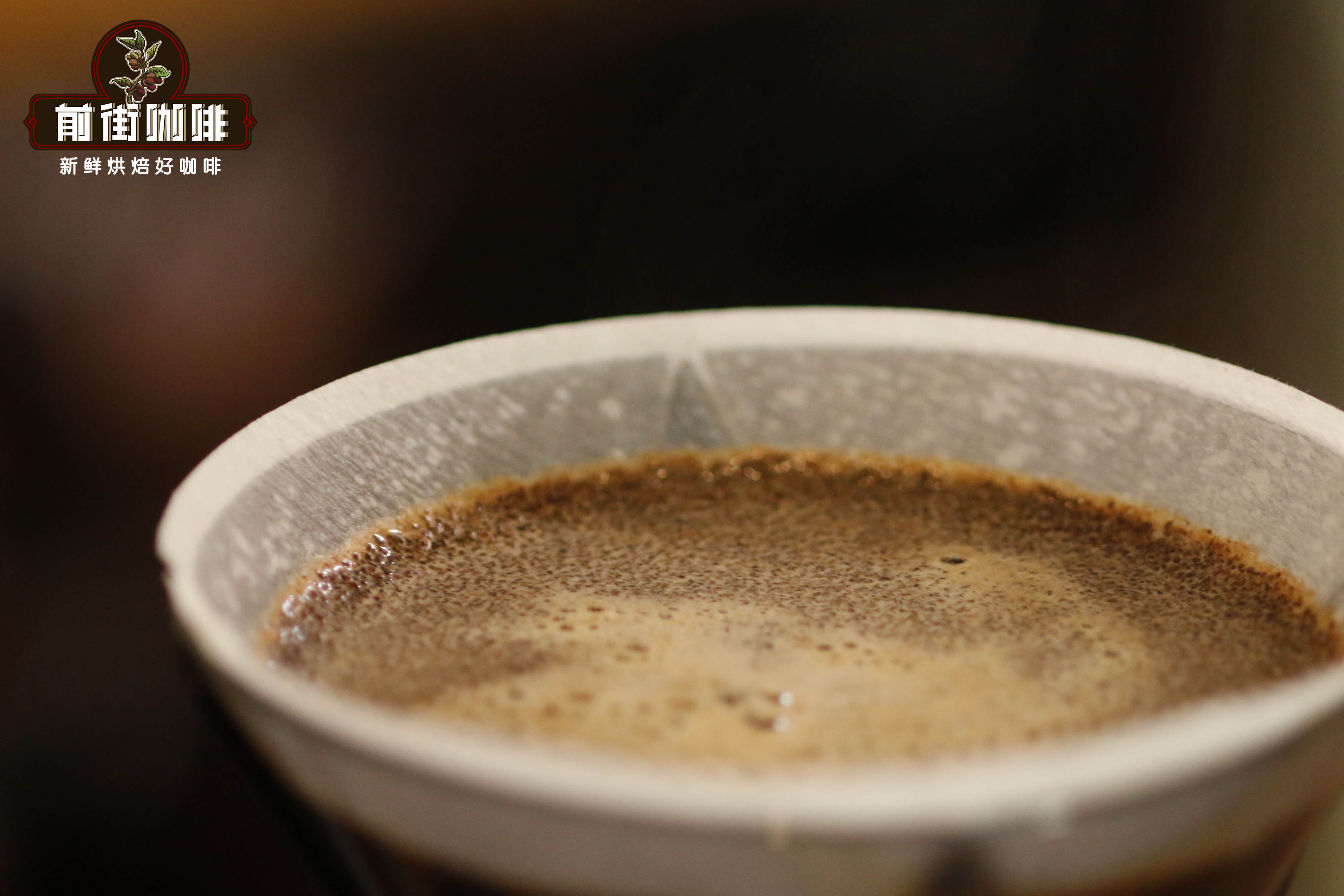 Analysis of One-Pour Pour Over Technique | Katsuma Shibuya’s Simplified Method and Practical Parameter Pairings