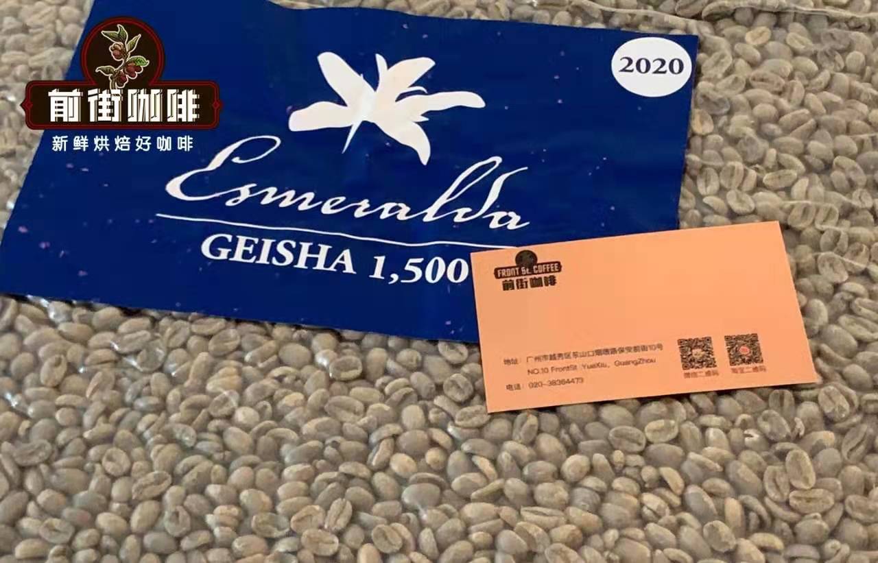 Has the Jade Blue Label Geisha been discontinued? A full breakdown of the Las Rocas volcanic Geisha taking the reins after 2021