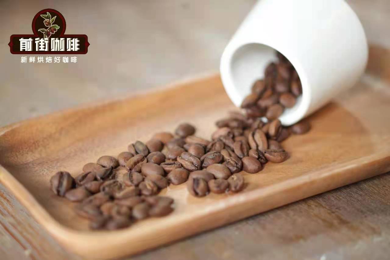 Panama Las Rocas Geisha Pour Over Tutorial | Complete Analysis of New Blue Label Flavors and Brewing Parameters