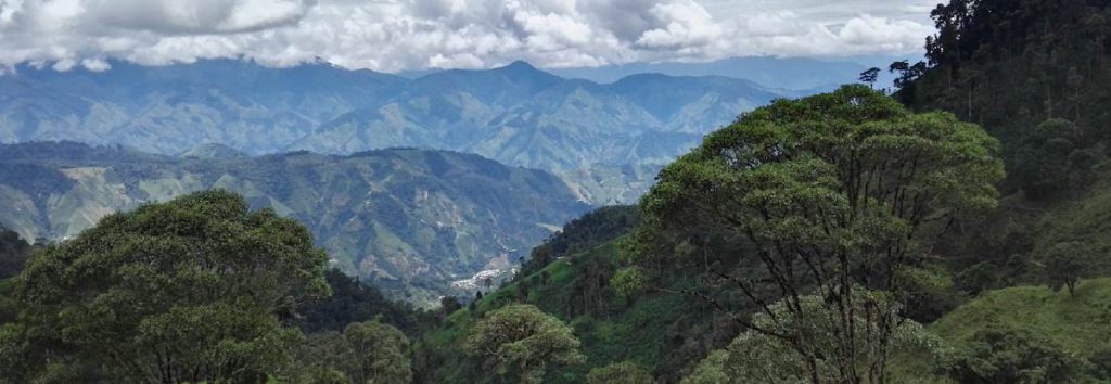 A Comprehensive Guide to Colombian Coffee Regions: The Flavors of Huila Washed Process and Pour Over Brewing Settings