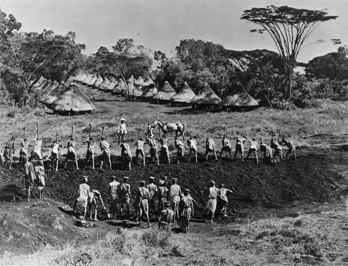 Complete Guide to Kenyan Coffee Regions & Grading: Flavor Profiles & Pour Over Parameters