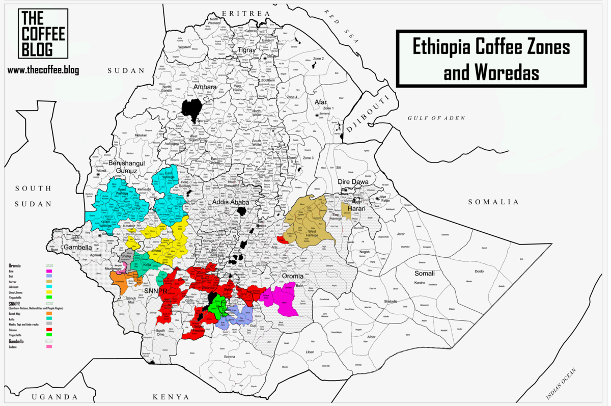 Ethiopian Natural G1 Yirgacheffe: Flavor Profile of Konga Cooperative & Pour Over Brewing Suggestions