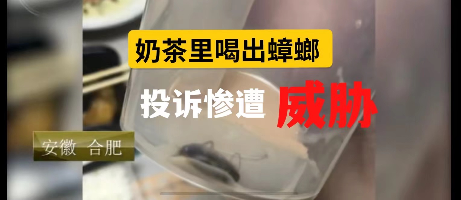 Cockroach Found in Takeaway Milk Tea – Full Analysis & Rights Guide for Fake COCO Store Disputes