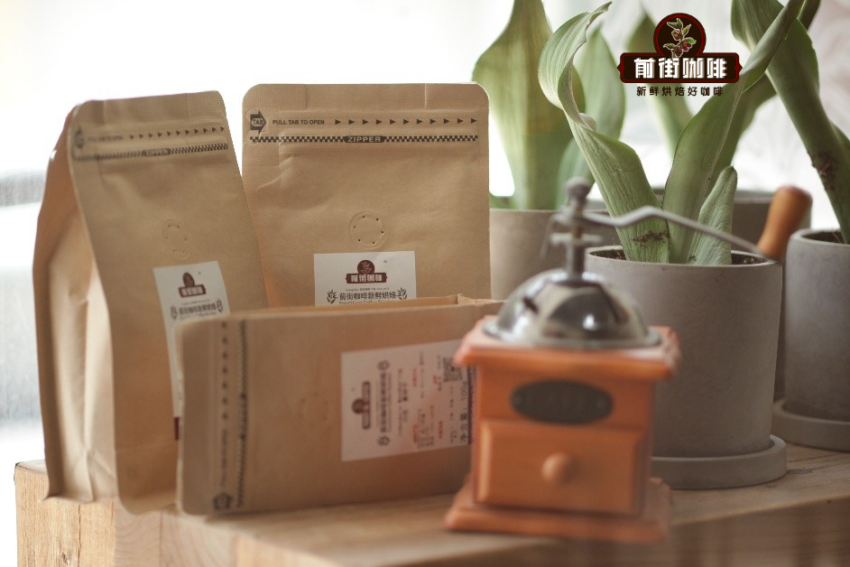 How to Choose Pour Over Coffee Beans? A Complete Guide to the Flavors of the World’s Top 10 Coffee Regions and Single-Origin Characteristics