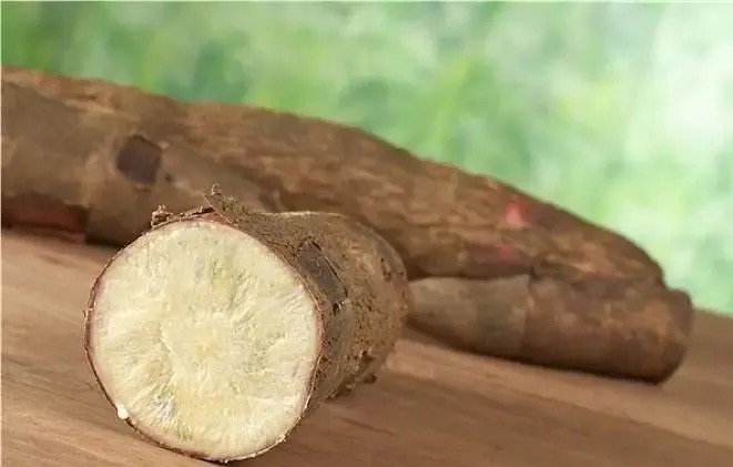 Behind the rising cassava prices: How China's ethanol demand is affecting the bubble tea supply chain