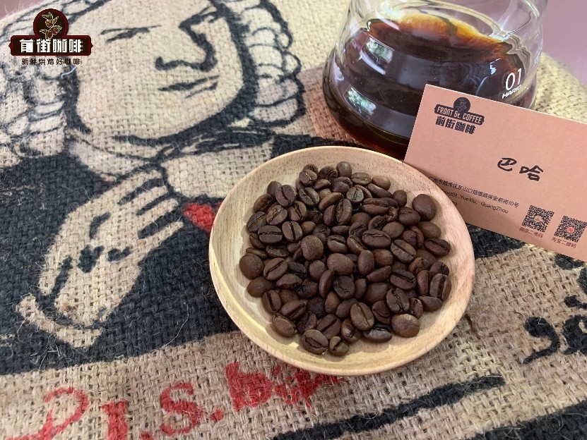 Costa Rica Musician Series Pour Over Guide: Light Roast V60 Parameters & Honey Process Flavor Profile