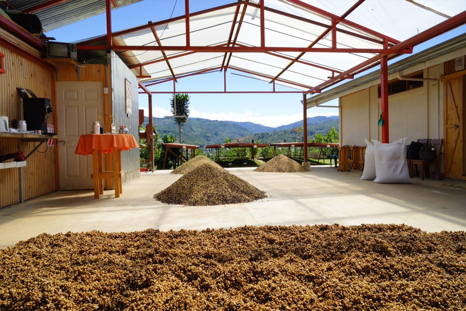 Costa Rica Tarrazú Honey Process Coffee: A Complete Guide to the Millosu Raisin Honey Flavor & Pour Over Settings