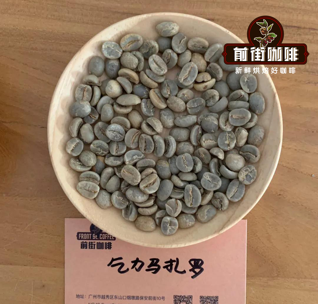 A Complete Guide to Tanzanian AA Coffee: The Washed Bourbon Flavor from the Western Slopes of Mount Kilimanjaro and Pour Over Parameters