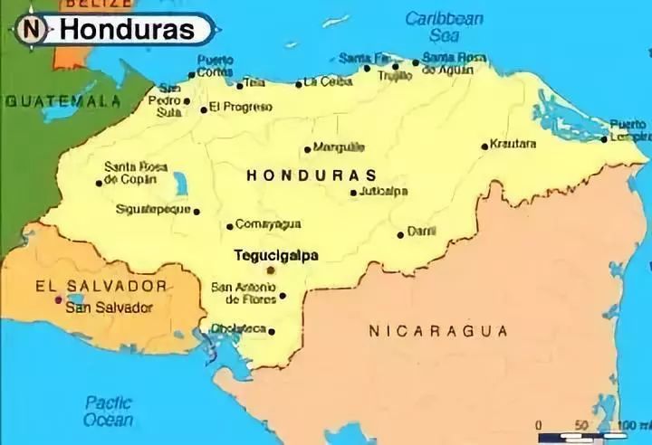 Complete Guide to Honduran Coffee Regions and Processing Methods: Flavor Analysis from Copán to Paraiso and Pour Over Guide for Sherry Lichee Lan