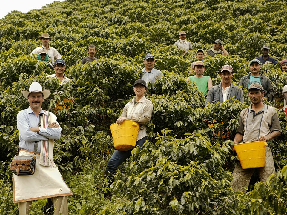 A Complete Guide to the Six Major Coffee Regions of Colombia: Washed Bean Selections and Brewing Tips from Huila to Narino